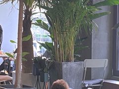 -the rug 飞毯 (朝阳公园店)