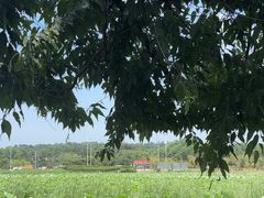-沈阳市东陵公园