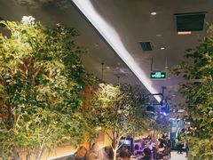 -同仁四季椰子鸡(海岸城天利店)