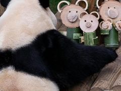 -广州市海珠区口腔医院
