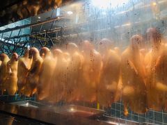 精品烤鸭-悦江(梅奔中心店)
