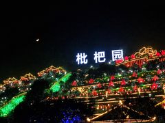 -枇杷园食为鲜火锅(南山店)