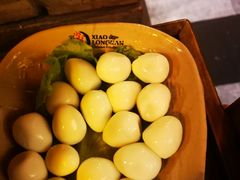 -小龙坎火锅(双林店)