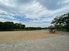 -上海佘山世茂艾美酒店