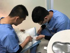 -纳吉亚猫专科动物医院博雅分院