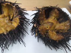 -海胆小馆(东北水饺·春柳店)