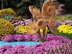 -共青国家森林公园-售票处