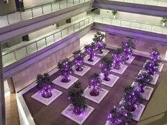 -南京禄口机场雅高铂尔曼大酒店