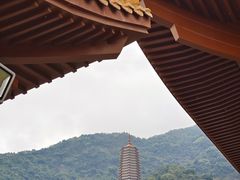 -深圳仙湖植物园