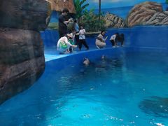 -海合安成都极地海洋公园