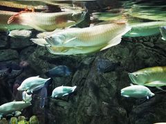 -成都浩海立方海洋公园