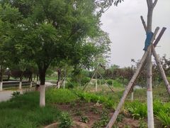 -永定河休闲森林公园