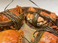 -杨氏青龙虾·羊蝎子(金盛路总店)
