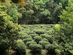 -杭州黄龙洞