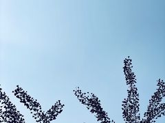 -雨花胜境
