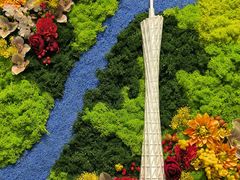 -云溪植物园