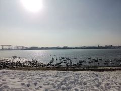 -烟墩角天鹅湖