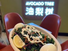 -油梨树AVOCADO TREE(嘉里中心店)
