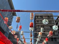 -越秀西湖花市(广州城市广场花卉店)