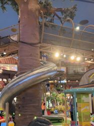 -卡通尼·Safari非洲探索乐园·生日会(金桥国际商业广场店)