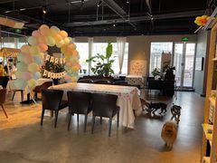 -百好乐宠物友好餐厅(朝外大街店)