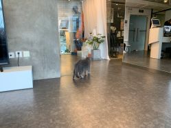 点击看大图 店内环境-飛凡TATTOO纹身•原创