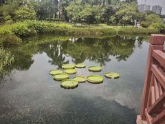 -白云公园(地铁站)