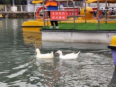 -成都欢乐谷