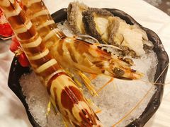 -鲜入围煮花胶鸡海鲜火锅