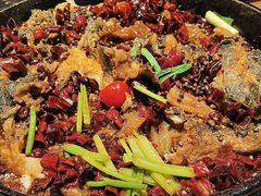 -老板恋上鱼(恒隆广场店)