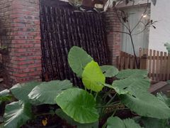 -天水蔬食料理(树德之光店)