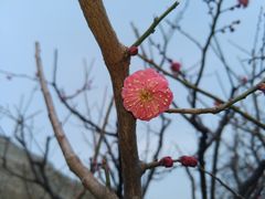 -北京明城墙遗址公园