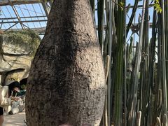 -南山植物园