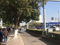 -上海市嘉定区安亭医院