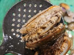 鲜活鲍鱼-初色海鲜自助(万丰路店)