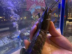 -钳小柒·小龙虾蓝龙王烧烤夜宵(长寿路店)