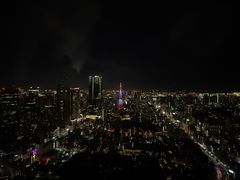 -六本木新城展望台(东京城市景观)