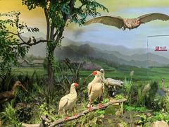 -陕西自然博物馆