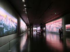 -罗红摄影艺术馆