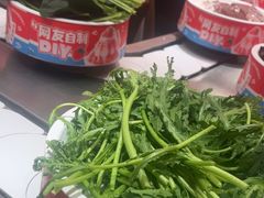 -龍歌自助小火锅(雨花台江南虹悦城店)