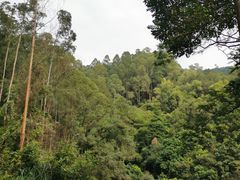 -火炉山森林公园
