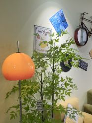 -变美丽半永久纹眉连锁·机器野生眉•洗眉