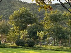 -上海佘山国家森林公园天马山园