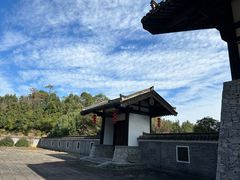 -大唐贡茶院