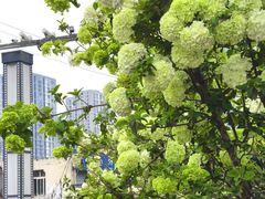 -大龙山(地铁站)