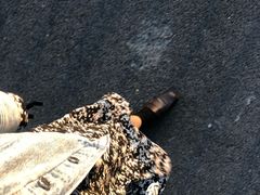 -厦门五通客运码头