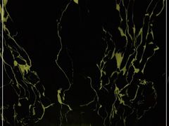 -富侨养生(康乾店)