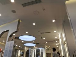 -Rise Hair上升造型