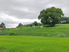 -良渚古城遗址公园