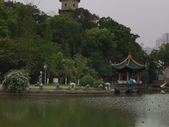 -江心屿景区